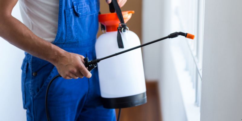 Como Fazer Dedetização em Casa em Limeira: 4 Dicas Simples Como fazer dedetização em casa em Limeira