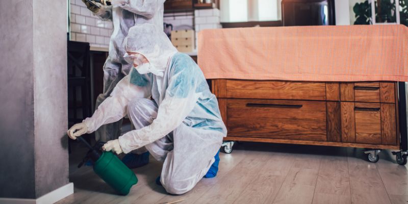 Dedetização em Apartamento Como Funciona em Limeira: Confira 4 Passos Dedetização em Apartamento Como Funciona em Limeira: Confira 4 Passos