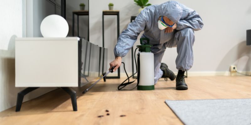 Quanto Tempo Dura Uma Dedetização em Limeira? Confira! Quanto tempo dura uma dedetização em Limeira?